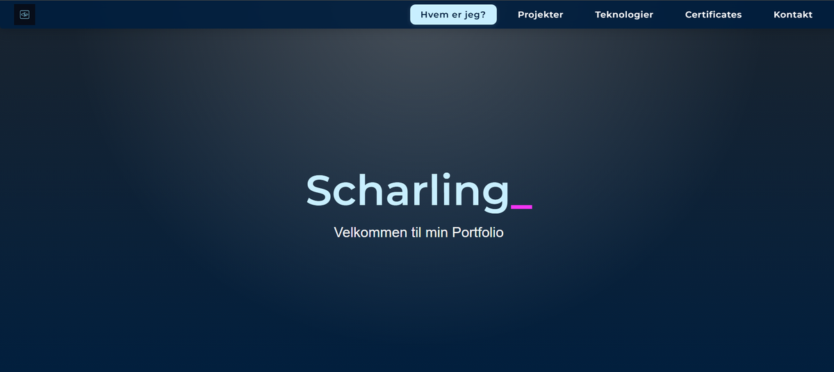 Portfolio Website